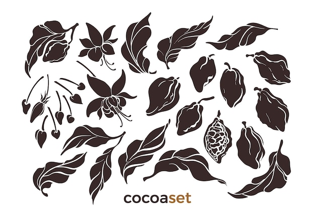 Set of cocoa leaf bean flower chocolate hand draw vintage group organic silhouette