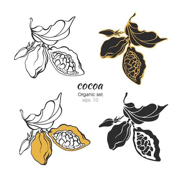 Set of cocoa logo nature leaves bean flower hand draw shape symbol line art sketch