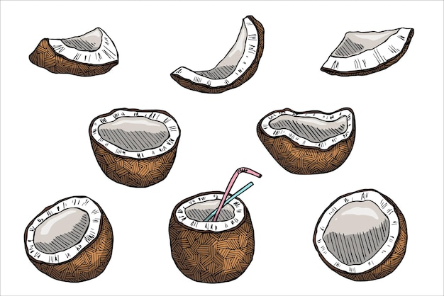 Набор кокосовых клипартов Нарисованная вручную иконка ореха Тропическая иллюстрация Для печати веб-дизайна декора