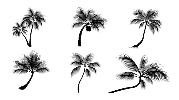 Set of coconut palm tree silhouettes