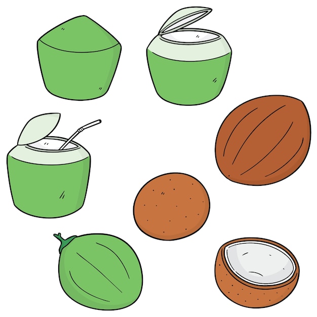 set of coconut