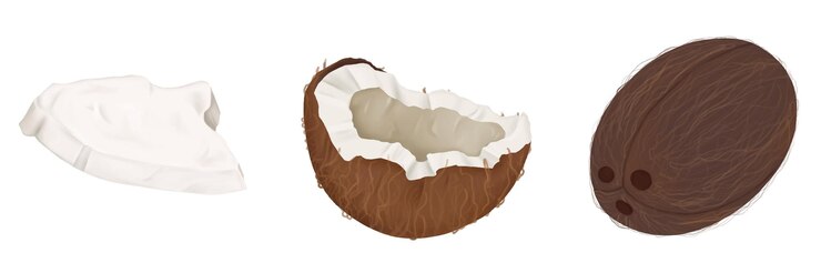 Vector set of coconuts whole, split