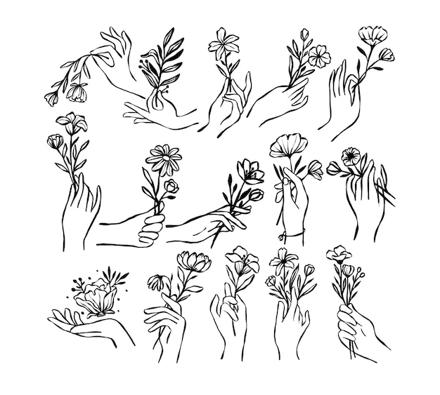 Vector set collectie hand getrokken inkt hand met floral line art illustratie vector