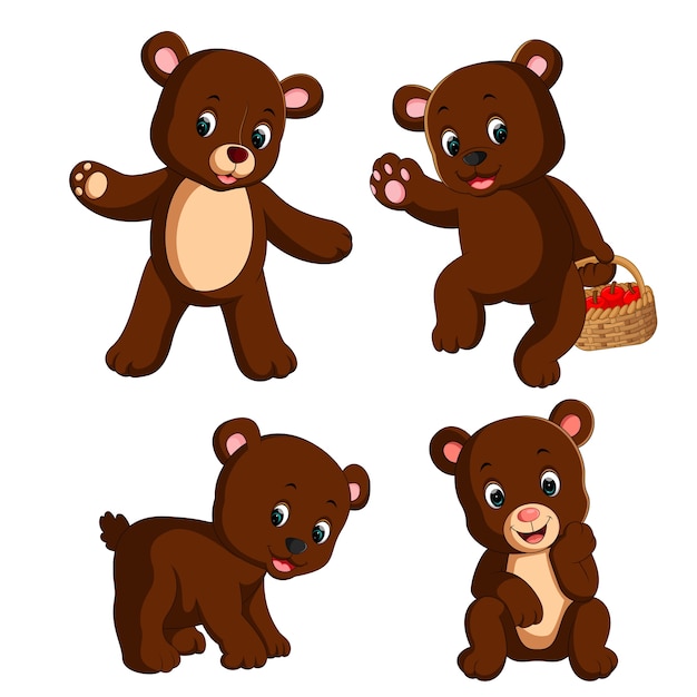 set collection bear Cartoon