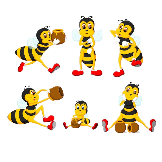 set collection of bee 