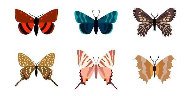 Set collection of butterflies on a white background Isolated cartoon icon set decorative insect