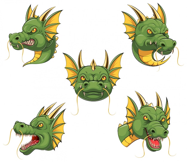 Установите коллекцию талисмана головы дракона