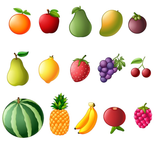 Vector set collection of fresh fruit