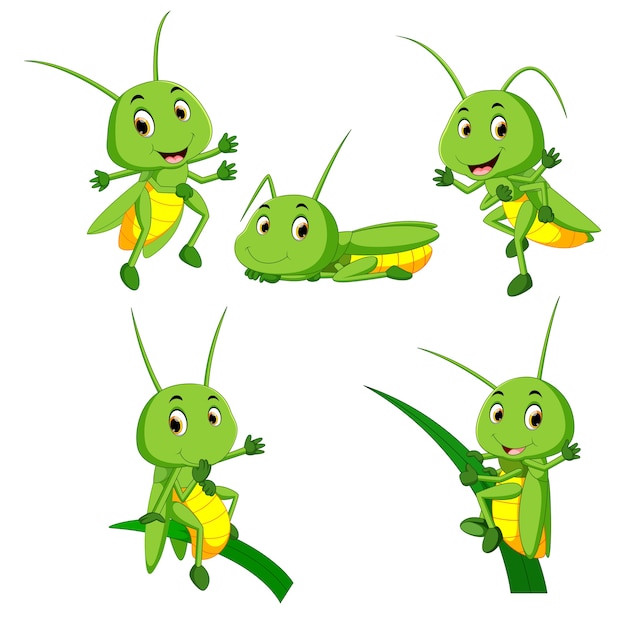 Vector set collection grasshopper cartoon