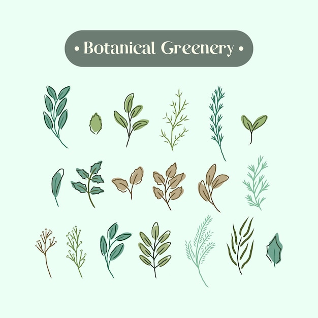 Set Collection handdrawing of botanical greenery