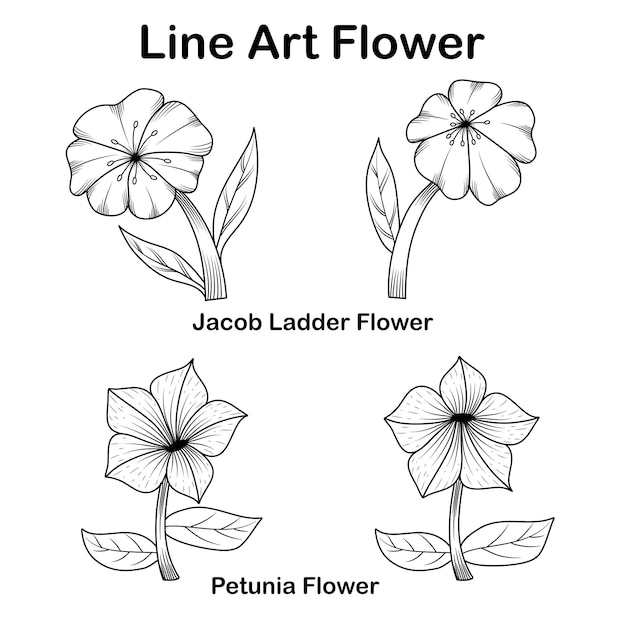 Set of collection line art flower