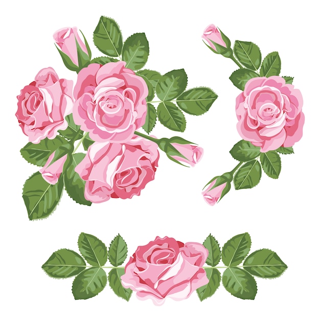 Набор розовых роз с листьями