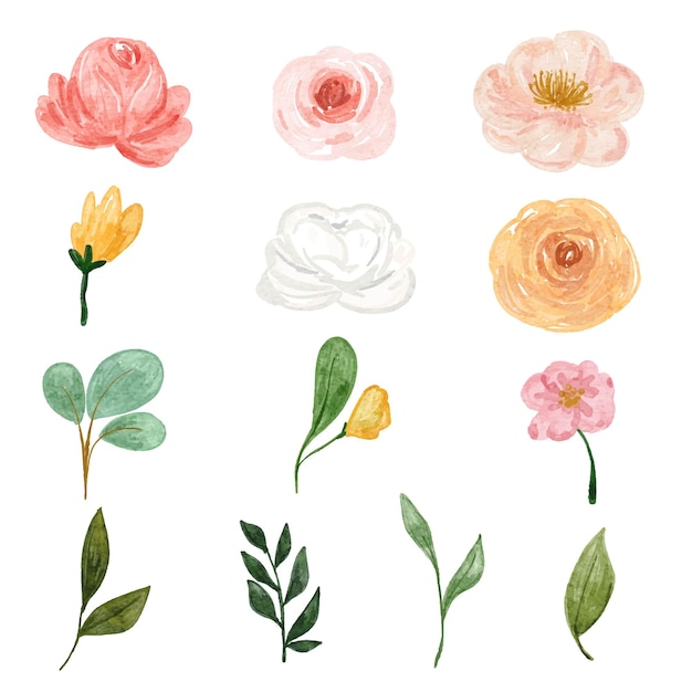 수채화 꽃 그림 요소의 컬렉션을 설정