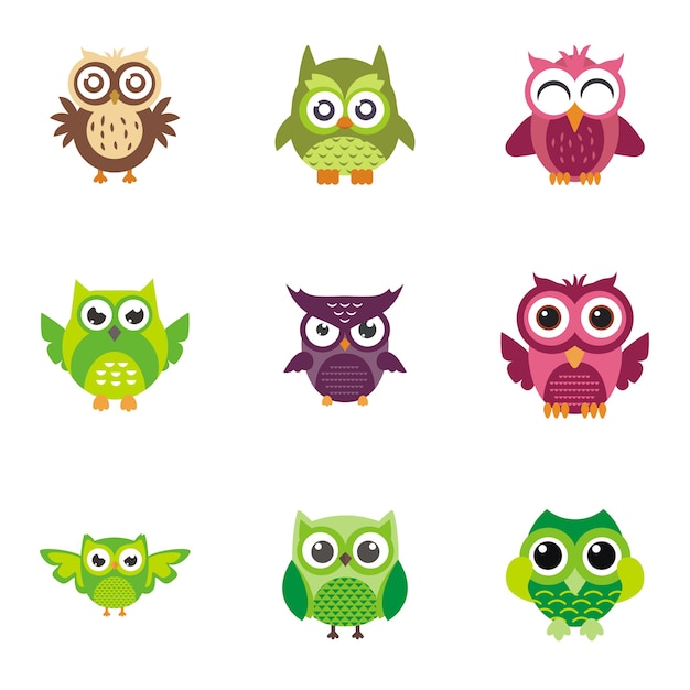 Set collection of owl logo design