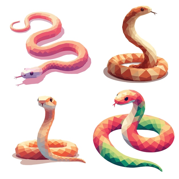 set collection snake low poly vector