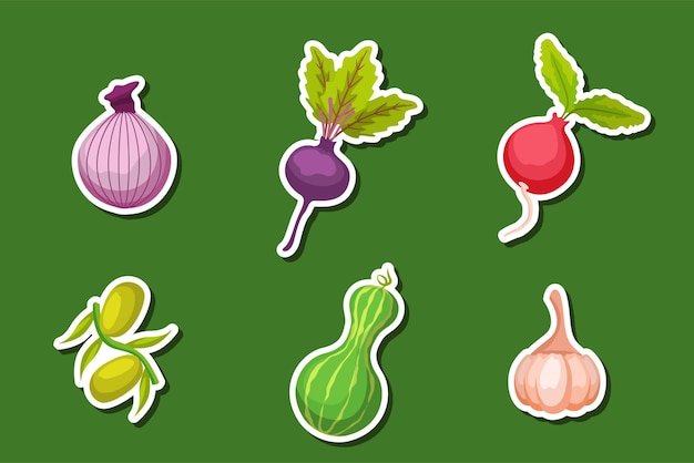 Vector set collection of vegetable sticker