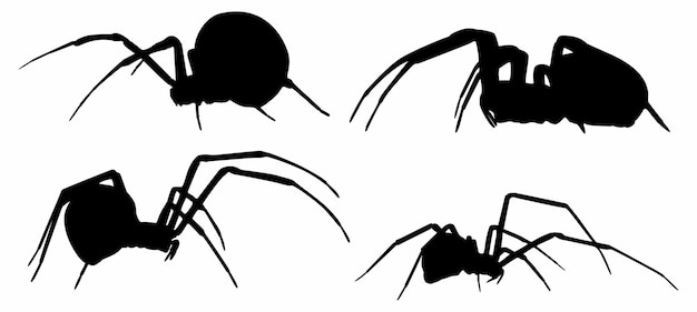 Set collections black spider silhouette animal icon Vector illustration