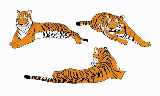Premium Vector | Set of color tigers simple chinese tiger design