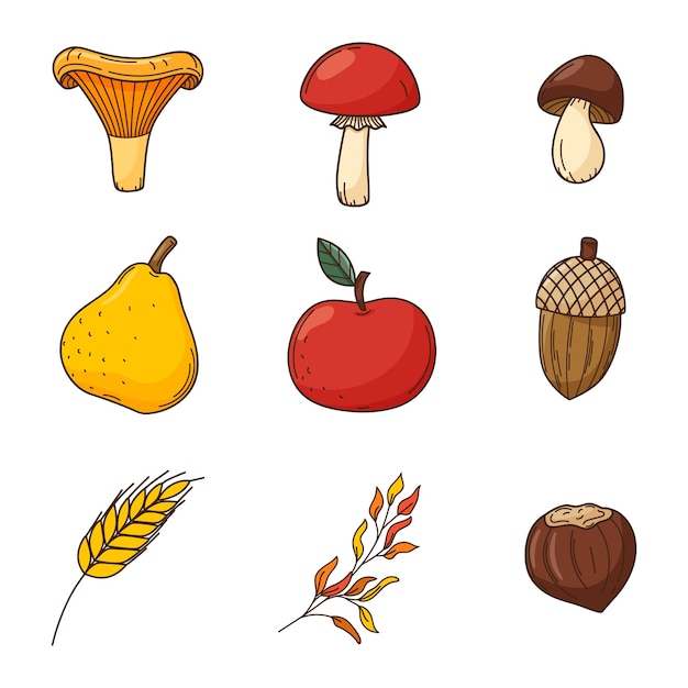 A set of colored doodles. Forest mushrooms, acorns, nuts, harvest. Autumn decorative elements