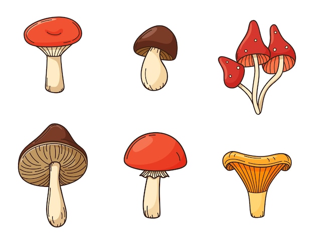 A set of colored mushroom doodles. Autumn edible mushrooms. Elements with a stroke and fill.