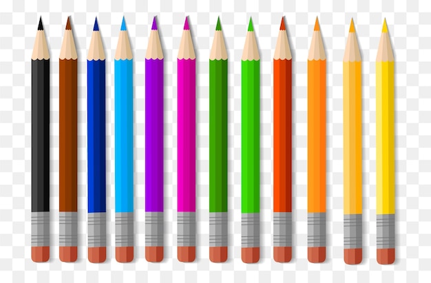 Un set di matite colorate 12 colori articoli scolastici materiale scolastico di cancelleria su uno sfondo trasparente in formato eps10 ritorno a scuola