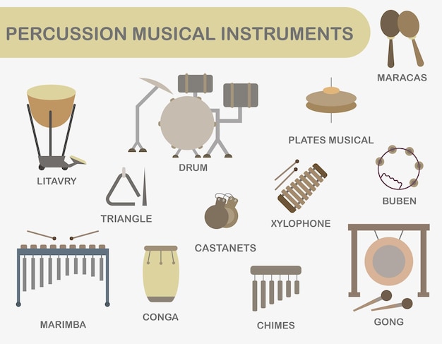 Premium Vector  Set of colored percussion musical instruments percussion  instruments with the name