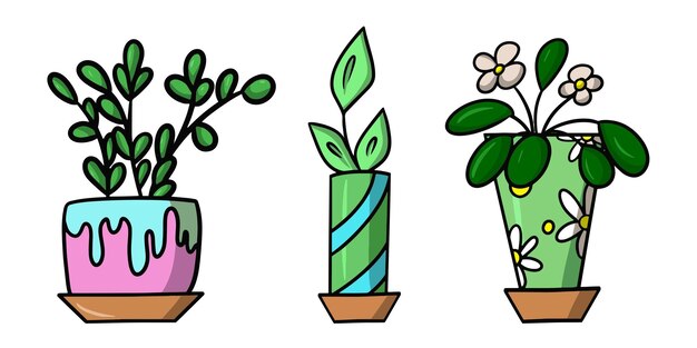 Vector a set of colored pictures indoor plant in a ceramic pot tropical flower cartoon vector illustration