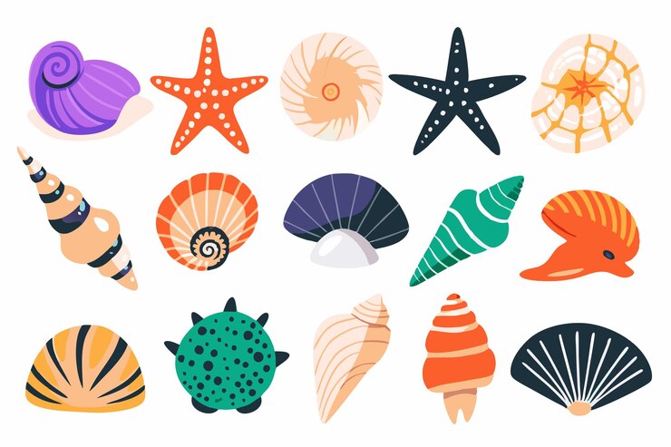 Set of colored sea shells molluscs sea snails starfish flat illustration on white background