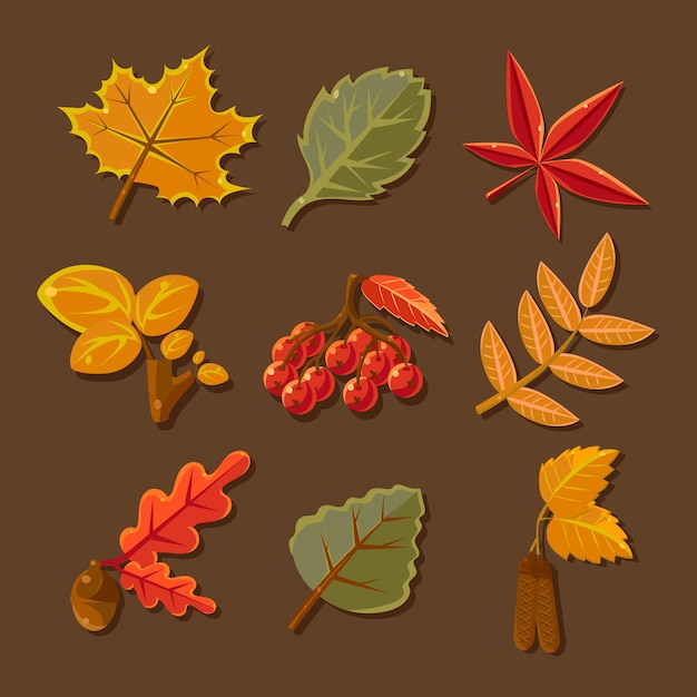 Set of colorful autumn leaves. vector