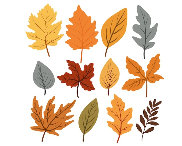 Vector set of colorful autumn leaves