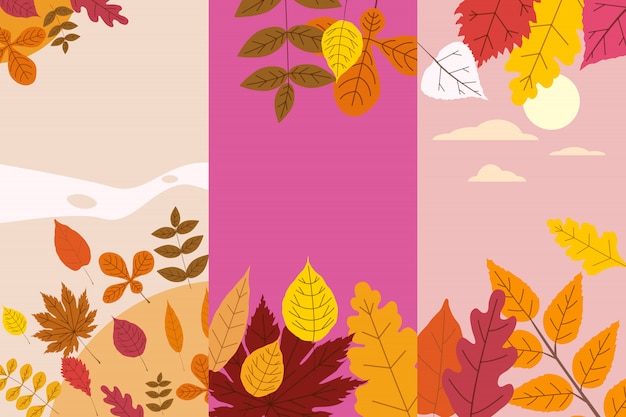 Set colorful autumn templates of autumn fallen leaves orange yellow foliage. Backgrounds social media stories banners