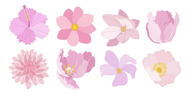 Set of colorful blooming flowers illustration