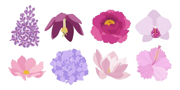 Vector set of colorful blooming flowers illustration