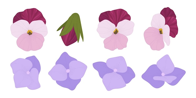 Set of colorful blooming flowers illustration