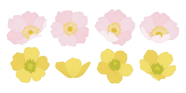 Vector set of colorful blooming flowers illustration