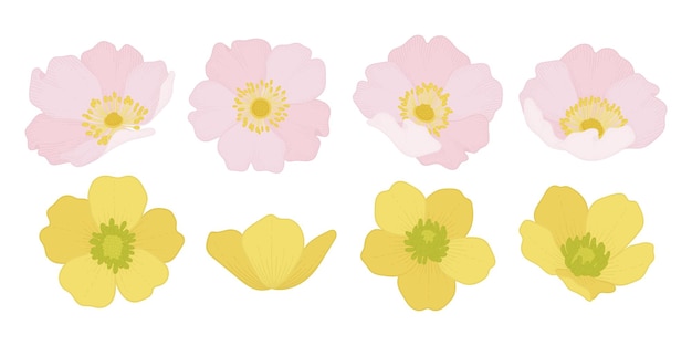 Set of colorful blooming flowers illustration