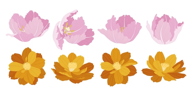 Set of colorful blooming flowers illustration