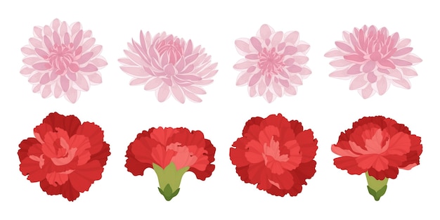 Vector set of colorful blooming flowers illustration