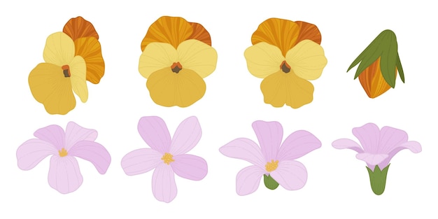 Set of colorful blooming flowers illustration