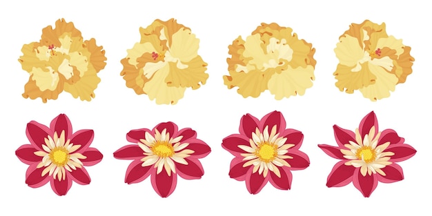 Set of colorful blooming flowers illustration