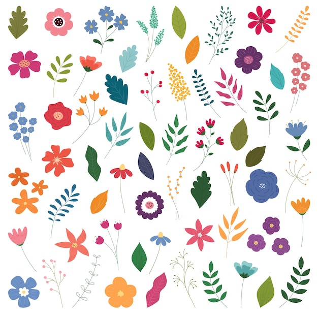 Una serie di fiori e piante colorati e luminosi
