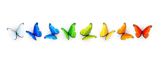 Vector set of colorful butterflies isolated on white background illustration