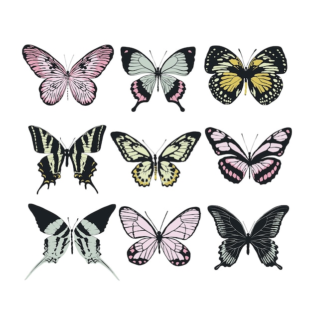 Set of colorful butterflies vector