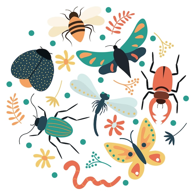 Vector set of colorful cartoon insect