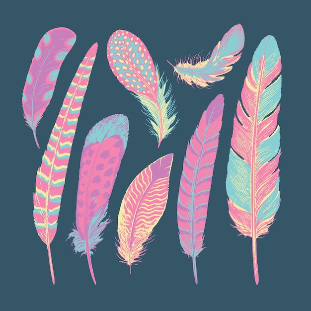 A set of colorful feathers for creating designs. blue, pink. brush and paint texture. vector