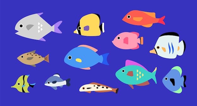 Set of colorful fish in various shape flat style vector illustration