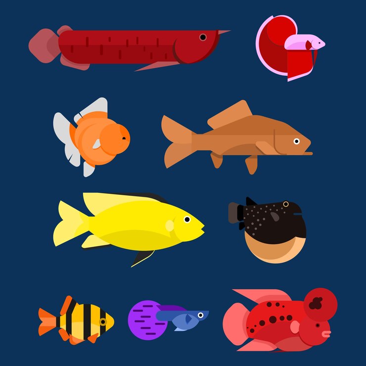 Vector set of colorful fishes cartoon vector icon flat illustration