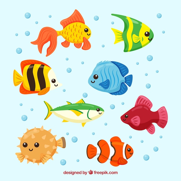 Set of colorful fishes in hand drawn style