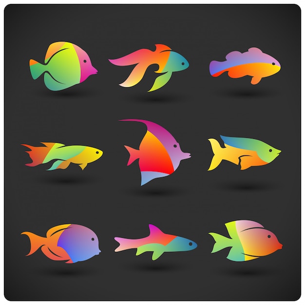 Set of colorful fishes