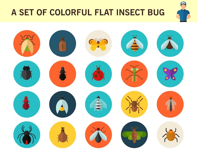 A set of colorful flat insect bug concept flat icons.